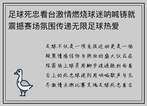 足球死忠看台激情燃烧球迷呐喊铸就震撼赛场氛围传递无限足球热爱